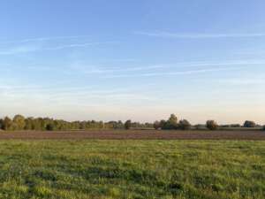 Ein blauer Himmel über einem grünen Feld