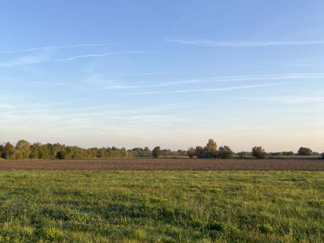 Ein blauer Himmel über einem grünen Feld
