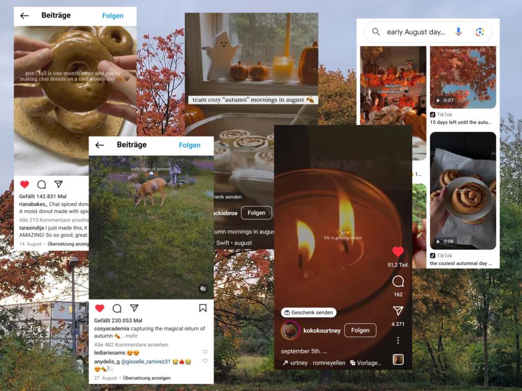 Verschiedene Instagram-Beiträge und Google-Bilder zum Thema Herbst